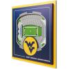 West Virginia Mountaineers