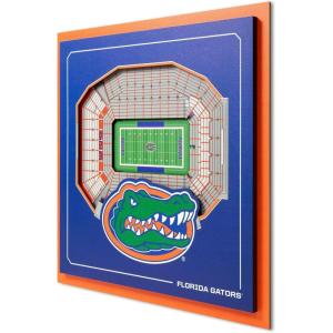 YouTheFan Officially-licensed NCAA Stadium Series 3D Wall Art – multi-layer team stadium replica, detailed sports fan gift, indoor decor(Florida Gators)
