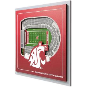 YouTheFan Officially-licensed NCAA Stadium Series 3D Wall Art – multi-layer team stadium replica, detailed sports fan gift, indoor decor(Washington State Cougars)