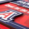 YouTheFan Officially-licensed NCAA Tide Fan Rules Wall Art, multiple layers, humorous team artwork sports fan motto, showcases funny rules, indoor decor(Arizona Wildcats)