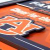 YouTheFan Officially-licensed NCAA Tide Fan Rules Wall Art, multiple layers, humorous team artwork sports fan motto, showcases funny rules, indoor decor(Auburn Tigers)