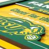 YouTheFan Officially-licensed NCAA Tide Fan Rules Wall Art, multiple layers, humorous team artwork sports fan motto, showcases funny rules, indoor decor(North Dakota State Bison)