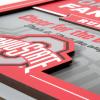 YouTheFan Officially-licensed NCAA Tide Fan Rules Wall Art, multiple layers, humorous team artwork sports fan motto, showcases funny rules, indoor decor(Ohio State Buckeyes)