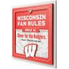 Wisconsin Badgers
