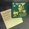 YouTheFan NCAA 3D Logo Series Magnet(North Dakota State Bison)