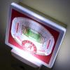 YouTheFan NCAA Florida State Seminoles StadiumView Nite Light(Alabama Crimson Tide)