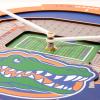 YouTheFan NCAA Arizona State Sun Devils 3D StadiumView Clock(Florida Gators)