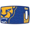 Pittsburgh Panthers