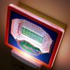 YouTheFan NCAA Michigan State Spartans StadiumView Nite Light(Florida Gators)