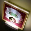 YouTheFan NCAA Michigan State Spartans StadiumView Nite Light(Florida State Seminoles)