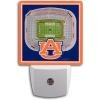 Auburn Tigers