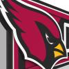 YouTheFan NFL 3D Wall Pennant, precision-crafted, unique shape made of multiple layers, ready-to-hang, officially licensed and stylish addition for ultimate team fan(Arizona Cardinals)