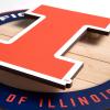 YouTheFan NCAA 3D Circle Backer Wall Art, precision-crafted, multiple layers create striking depth, ready-to-hang, officially licensed and visually stands out(Illinois Fighting illini)