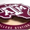 YouTheFan NCAA 3D Circle Backer Wall Art, precision-crafted, multiple layers create striking depth, ready-to-hang, officially licensed and visually stands out(Texas A&M Aggies)