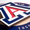 YouTheFan NCAA 3D Circle Backer Wall Art, precision-crafted, multiple layers create striking depth, ready-to-hang, officially licensed and visually stands out(Arizona Wildcats)