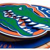 YouTheFan NCAA 3D Circle Backer Wall Art, precision-crafted, multiple layers create striking depth, ready-to-hang, officially licensed and visually stands out(Florida Gators)