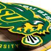 YouTheFan NCAA 3D Circle Backer Wall Art, precision-crafted, multiple layers create striking depth, ready-to-hang, officially licensed and visually stands out(North Dakota State Bison)