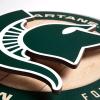 YouTheFan NCAA 3D Circle Backer Wall Art, precision-crafted, multiple layers create striking depth, ready-to-hang, officially licensed and visually stands out(Michigan State Spartans)