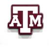 YouTheFan NCAA 3D Die-Cut Wall Art, precision-crafted and laser-cut in the exact shape of your team’s logo, multiple layers create striking depth, ready-to-hang and officially licensed(Texas A&M Aggies)