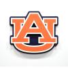 YouTheFan NCAA 3D Die-Cut Wall Art, precision-crafted and laser-cut in the exact shape of your team’s logo, multiple layers create striking depth, ready-to-hang and officially licensed(Auburn Tigers)
