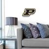 YouTheFan NCAA 3D Die-Cut Wall Art, precision-crafted and laser-cut in the exact shape of your team’s logo, multiple layers create striking depth, ready-to-hang and officially licensed(Purdue Boilermakers)