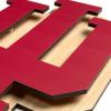 YouTheFan NCAA 3D Die-Cut Wall Art, precision-crafted and laser-cut in the exact shape of your team’s logo, multiple layers create striking depth, ready-to-hang and officially licensed(Indiana Hoosiers)