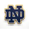 YouTheFan NCAA 3D Die-Cut Wall Art, precision-crafted and laser-cut in the exact shape of your team’s logo, multiple layers create striking depth, ready-to-hang and officially licensed(Notre Dame Fighting Irish)