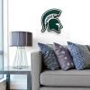 YouTheFan NCAA 3D Die-Cut Wall Art, precision-crafted and laser-cut in the exact shape of your team’s logo, multiple layers create striking depth, ready-to-hang and officially licensed(Michigan State Spartans)