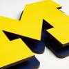YouTheFan NCAA 3D Die-Cut Wall Art, precision-crafted and laser-cut in the exact shape of your team’s logo, multiple layers create striking depth, ready-to-hang and officially licensed(Michigan Wolverines)