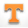 YouTheFan NCAA 3D Die-Cut Wall Art, precision-crafted and laser-cut in the exact shape of your team’s logo, multiple layers create striking depth, ready-to-hang and officially licensed(Tennessee Volunteers)