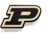 YouTheFan NCAA 3D Die-Cut Wall Art, precision-crafted and laser-cut in the exact shape of your team’s logo, multiple layers create striking depth, ready-to-hang and officially licensed(Purdue Boilermakers)