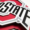 YouTheFan NCAA 3D Die-Cut Wall Art, precision-crafted and laser-cut in the exact shape of your team’s logo, multiple layers create striking depth, ready-to-hang and officially licensed(Ohio State Buckeyes)