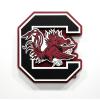 YouTheFan NCAA 3D Die-Cut Wall Art, precision-crafted and laser-cut in the exact shape of your team’s logo, multiple layers create striking depth, ready-to-hang and officially licensed(South Carolina Gamecocks)