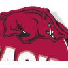 YouTheFan NCAA 3D Street Sign, precision-crafted, ready-to-hang wall art, officially licensed and stylish addition for the ultimate team fan(Arkansas Razorbacks)