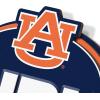 YouTheFan NCAA 3D Street Sign, precision-crafted, ready-to-hang wall art, officially licensed and stylish addition for the ultimate team fan(Auburn Tigers)