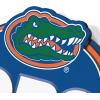 YouTheFan NCAA 3D Street Sign, precision-crafted, ready-to-hang wall art, officially licensed and stylish addition for the ultimate team fan(Florida Gators)