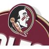 YouTheFan NCAA 3D Street Sign, precision-crafted, ready-to-hang wall art, officially licensed and stylish addition for the ultimate team fan(Florida State Seminoles)