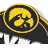YouTheFan NCAA 3D Street Sign, precision-crafted, ready-to-hang wall art, officially licensed and stylish addition for the ultimate team fan(Iowa Hawkeyes)
