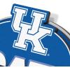 YouTheFan NCAA 3D Street Sign, precision-crafted, ready-to-hang wall art, officially licensed and stylish addition for the ultimate team fan(Kentucky Wildcats)