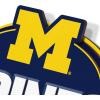 YouTheFan NCAA 3D Street Sign, precision-crafted, ready-to-hang wall art, officially licensed and stylish addition for the ultimate team fan(Michigan Wolverines)