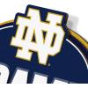 YouTheFan NCAA 3D Street Sign, precision-crafted, ready-to-hang wall art, officially licensed and stylish addition for the ultimate team fan(Notre Dame Fighting Irish)