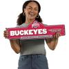 YouTheFan NCAA 3D Street Sign, precision-crafted, ready-to-hang wall art, officially licensed and stylish addition for the ultimate team fan(Ohio State Buckeyes)