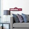 YouTheFan NCAA 3D Street Sign, precision-crafted, ready-to-hang wall art, officially licensed and stylish addition for the ultimate team fan(South Carolina Gamecocks)