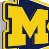 YouTheFan NCAA 3D Wall Pennant, precision-crafted, unique shape made of multiple layers, ready-to-hang, officially licensed and stylish addition for ultimate team fan(Michigan Wolverines)