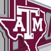 YouTheFan NCAA 3D Wall Pennant, precision-crafted, unique shape made of multiple layers, ready-to-hang, officially licensed and stylish addition for ultimate team fan(Texas A&M Aggies)