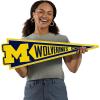 YouTheFan NCAA 3D Wall Pennant, precision-crafted, unique shape made of multiple layers, ready-to-hang, officially licensed and stylish addition for ultimate team fan(Michigan Wolverines)