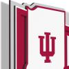 YouTheFan NCAA 3D Wall Pennant, precision-crafted, unique shape made of multiple layers, ready-to-hang, officially licensed and stylish addition for ultimate team fan(Indiana Hoosiers)