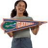 YouTheFan NCAA 3D Wall Pennant, precision-crafted, unique shape made of multiple layers, ready-to-hang, officially licensed and stylish addition for ultimate team fan(Florida Gators)