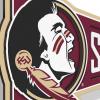 YouTheFan NCAA 3D Wall Pennant, precision-crafted, unique shape made of multiple layers, ready-to-hang, officially licensed and stylish addition for ultimate team fan(Florida State Seminoles)