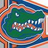 YouTheFan NCAA 3D Wall Pennant, precision-crafted, unique shape made of multiple layers, ready-to-hang, officially licensed and stylish addition for ultimate team fan(Florida Gators)